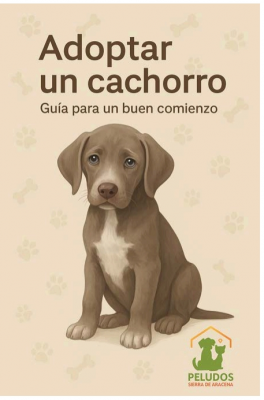 ¡Descarga nuestra Guía del Cachorro! ¡Descarga nuestra Guía del Cachorro!
